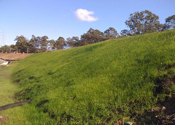 Spray Grass | Erosion Control Australia (IntErosion) | Hydroseeding, Erosion Control, Spray Grass, Solutions, Seeding, Filtrexx SiltSoxx, Coir Logs, Bark Blower, Organic Blankets, Sediment Control, Hydromulching, ...